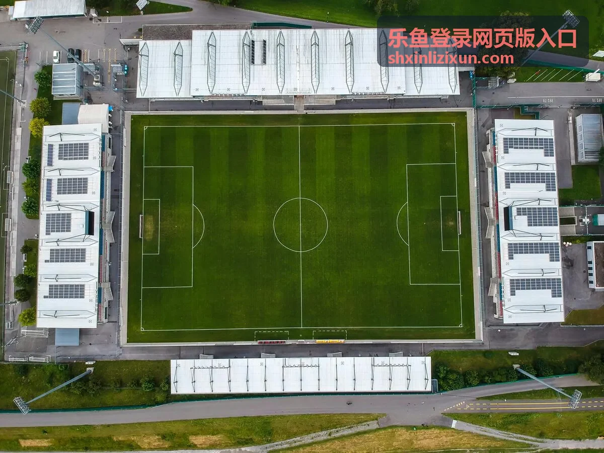 乐鱼登录网页版入口登录方式与环境要求