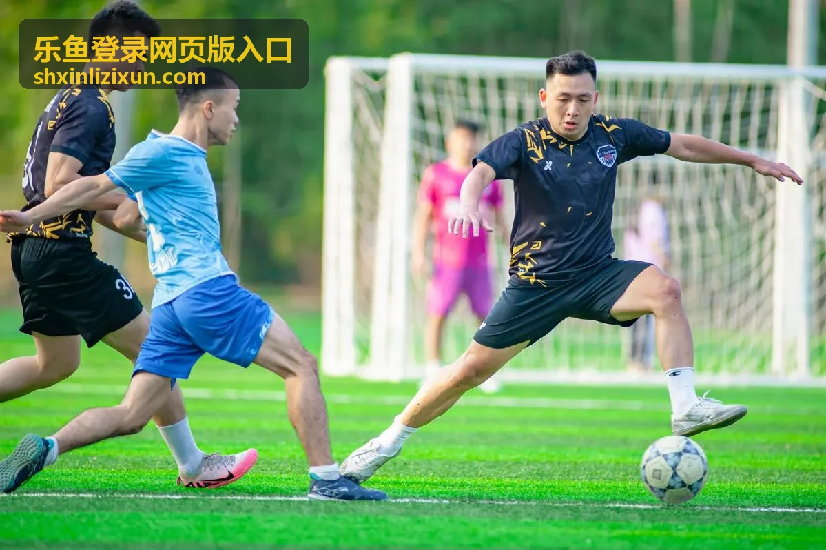 乐鱼登录网页版入口常见登录问题排查