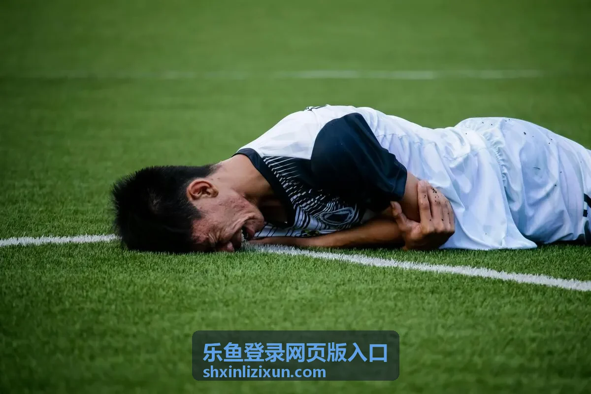 乐鱼登录网页版入口日常签到活动指南