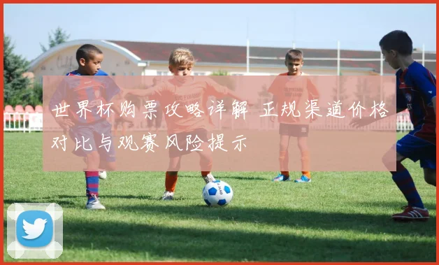 世界杯购票攻略详解 正规渠道价格对比与观赛风险提示
