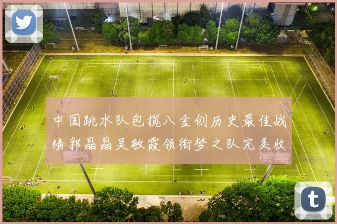 中国跳水队包揽八金创历史最佳战绩郭晶晶吴敏霞领衔梦之队完美收官