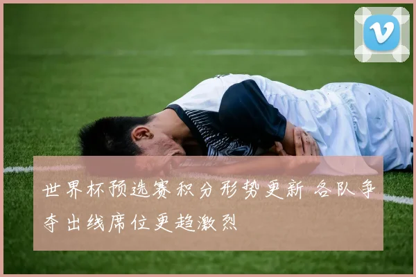 世界杯预选赛积分形势更新 各队争夺出线席位更趋激烈