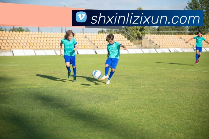 云开体育app官网入口app服务体系